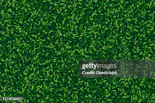 Green leaves realistic seamless background Green leaves realistic seamless background