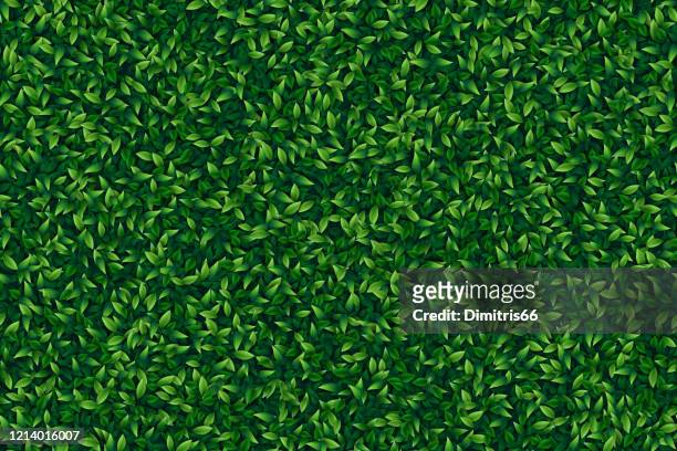 green leaves realistic seamless background - grass stock illustrations