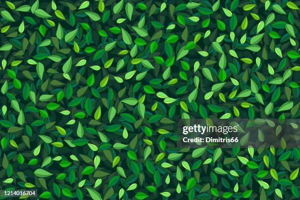 ilustraciones, imágenes clip art, dibujos animados e iconos de stock de verde dibujado a mano hojas de fondo - seen from above cartoon