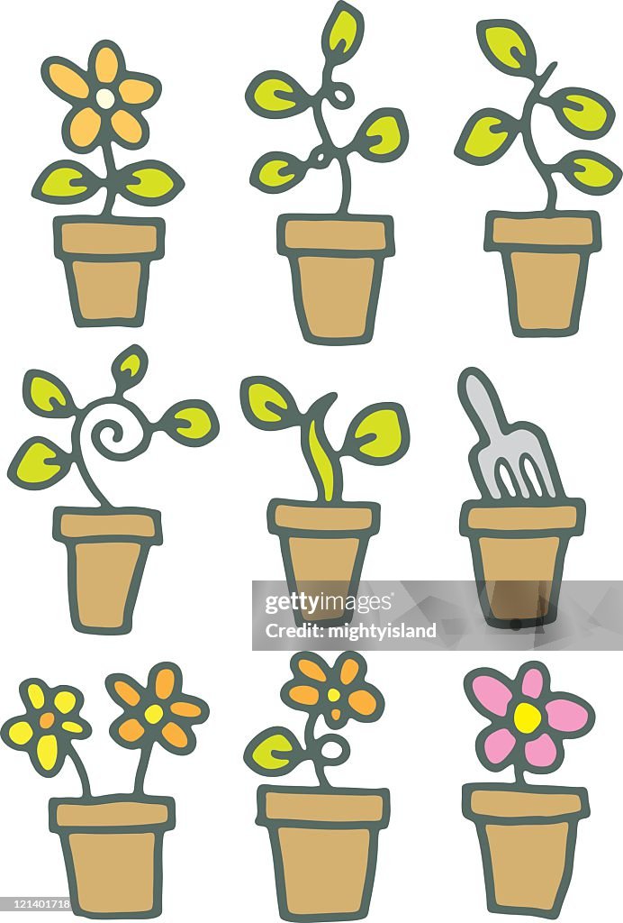 Flower Pots