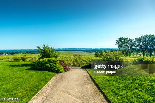 vineyard and garden of chateau d'yquem, sauternes region, aquitaine, franc - sauternes stock pictures, royalty-free photos & images