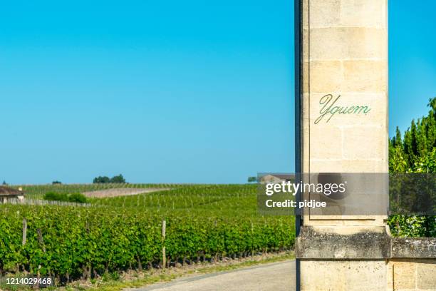 der eingang von vineyard and chateau d'yquem, sauternes region, aquitanien, franc - sweet wine stock-fotos und bilder