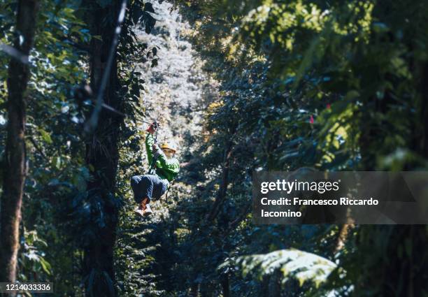 tourist woman on zip line in costa rica rainforest - iacomino costa rica stock pictures, royalty-free photos & images