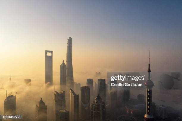 skyscrapers in shanghai city over the advection fog at sunrise - skog stock pictures, royalty-free photos & images