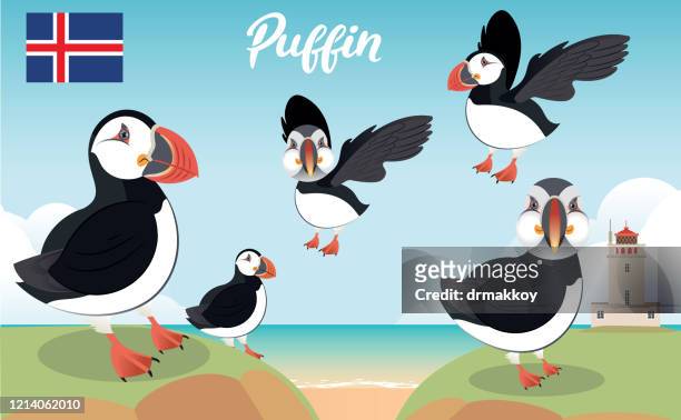 31 Puffin Cartoon Photos and Premium High Res Pictures - Getty Images