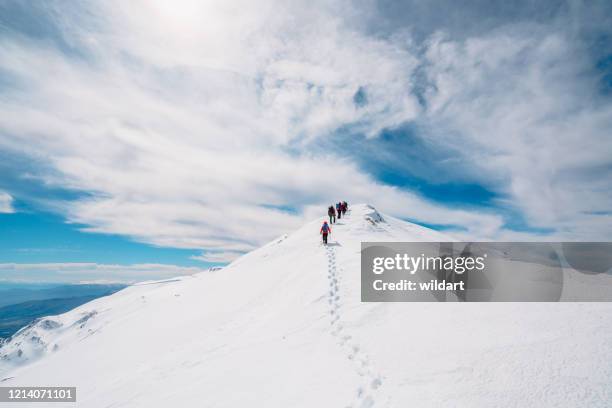 bergalklimmen team omhoog in een rij in grote hoogte bergpiek in de winter - people climbing walking mountain group stockfoto's en -beelden