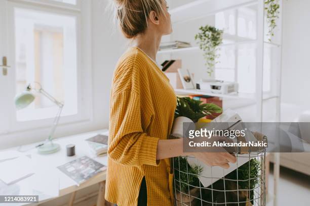 young woman decorating her home - decoration stock pictures, royalty-free photos & images