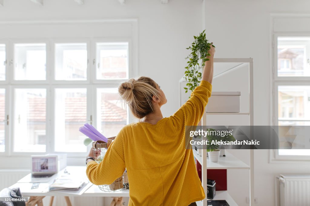 Organizando um novo apartamento