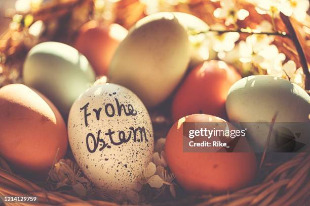 ostereier mit deutschem schriftzug "frohe ostern" - schöne schrift stock-fotos und bilder