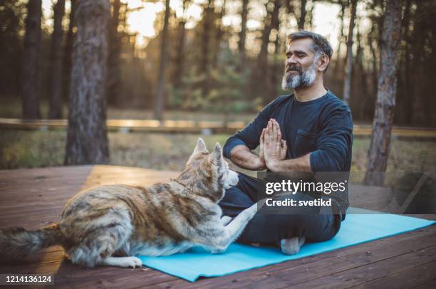 isolatieperiode thuis. - animal sport stockfoto's en -beelden