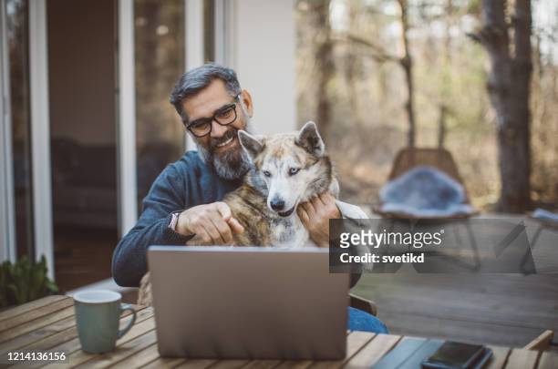 isolation period is bearable when you have dog - loneliness work stock pictures, royalty-free photos & images