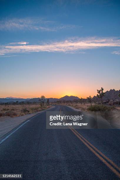 paved road into sunset at joshua tree national park - joshua rush stock pictures, royalty-free photos & images