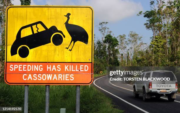 Road sign warns drivers to slow down due to the flightless southern cassowaries crossing near Mission Beach on March 19, 2011. AFP PHOTO / Torsten...