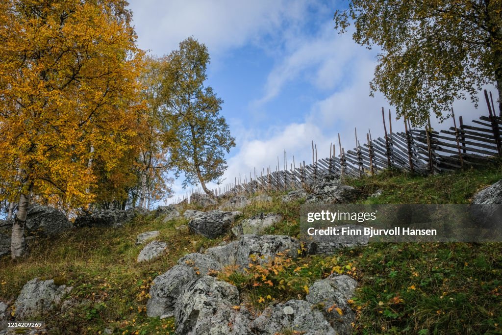Typical norwegian skigard fence nade from wood