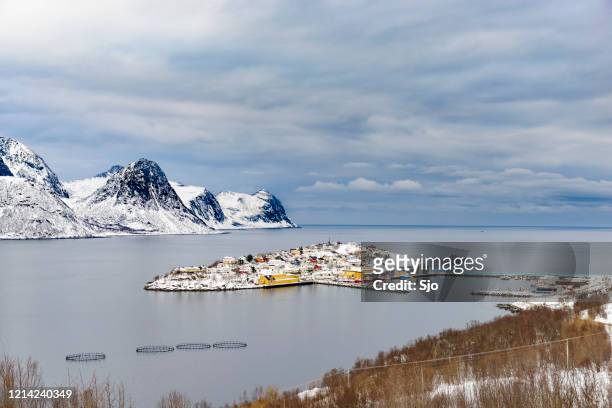 vista su husøy, villaggio di pescatori senja a øyfjorden in inverno - isola di senja foto e immagini stock