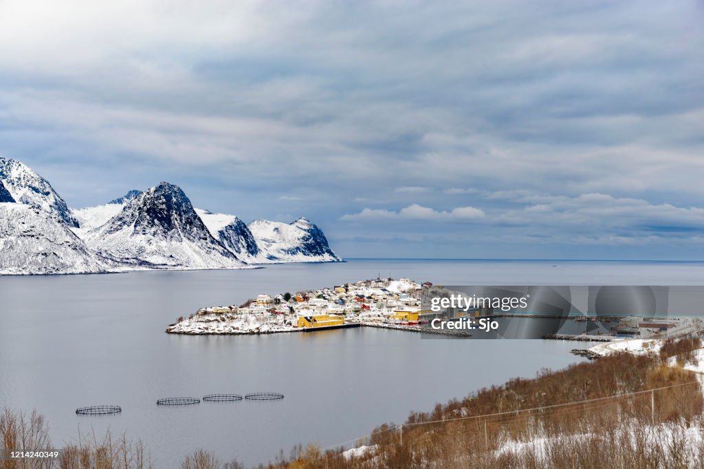 View on Husøy, Senja fishing village  in Øyfjorden in winter