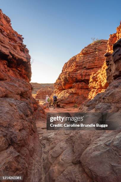 wandelen in kings canyon - kings canyon australia stockfoto's en -beelden