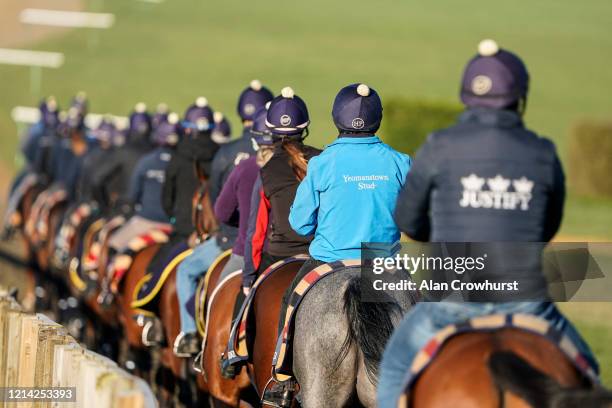 Racehorses make their return after exercising on the Warren Hill gallop on March 23, 2020 in Newmarket, England.