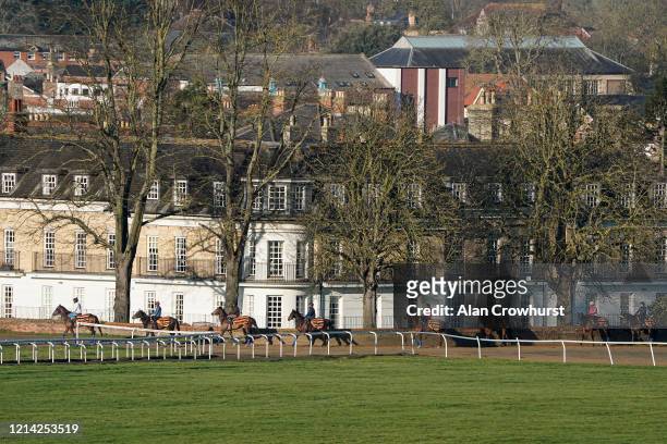 Racehorses make their way to exerciise on the Warren Hill gallop on March 23, 2020 in Newmarket, England.