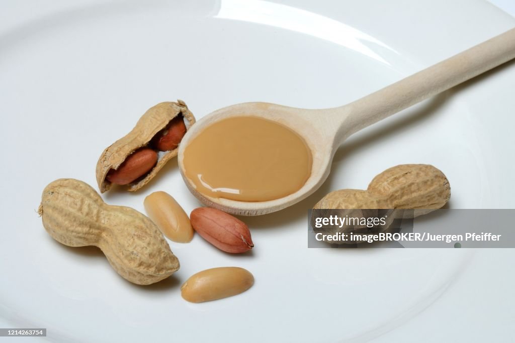 Peanut puree in cooking spoon and peanuts, Germany
