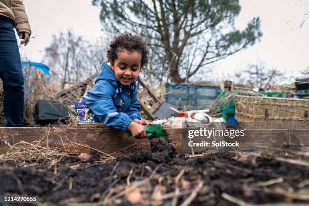 a day in the allotment - excavation stock pictures, royalty-free photos & images