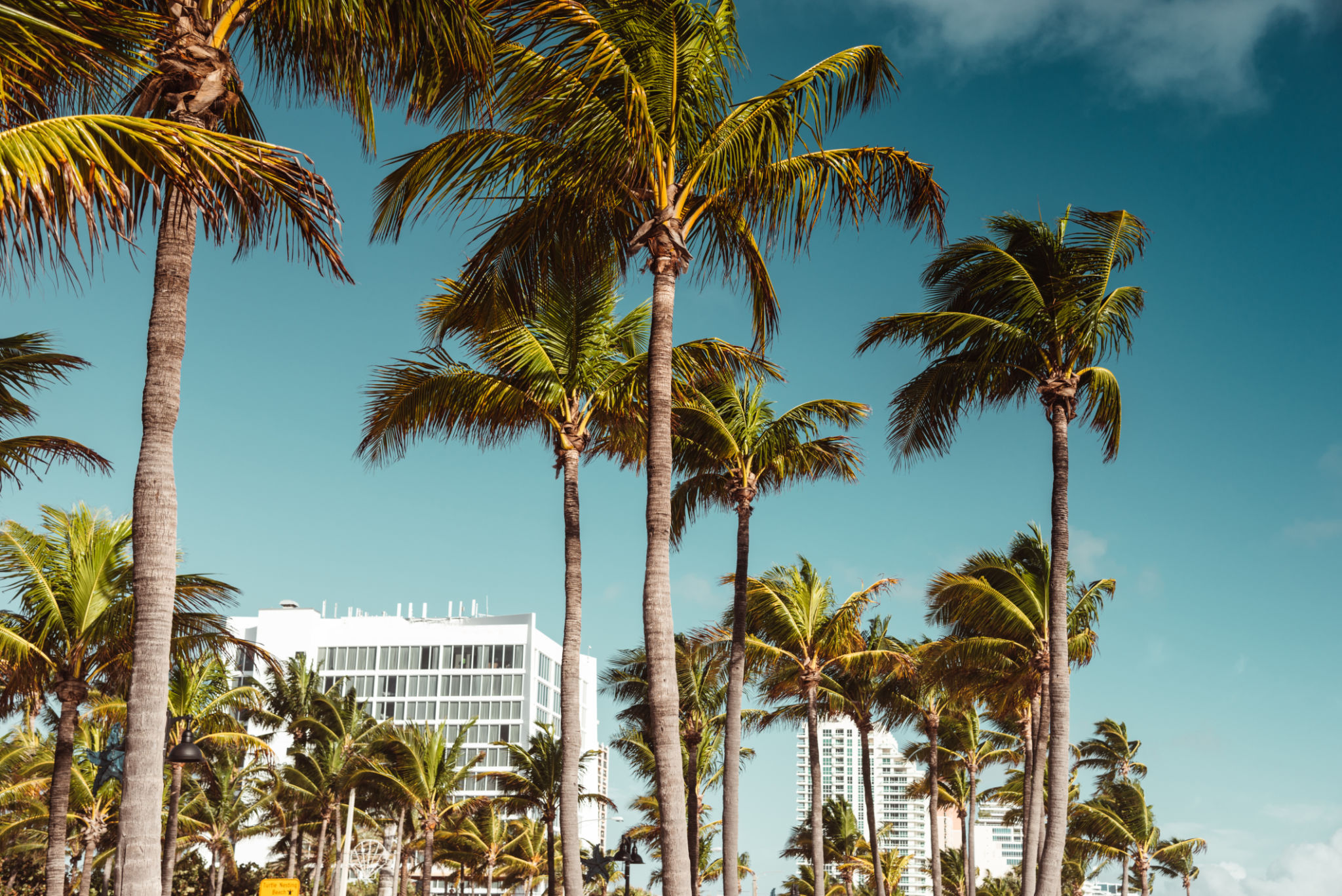florida property investment