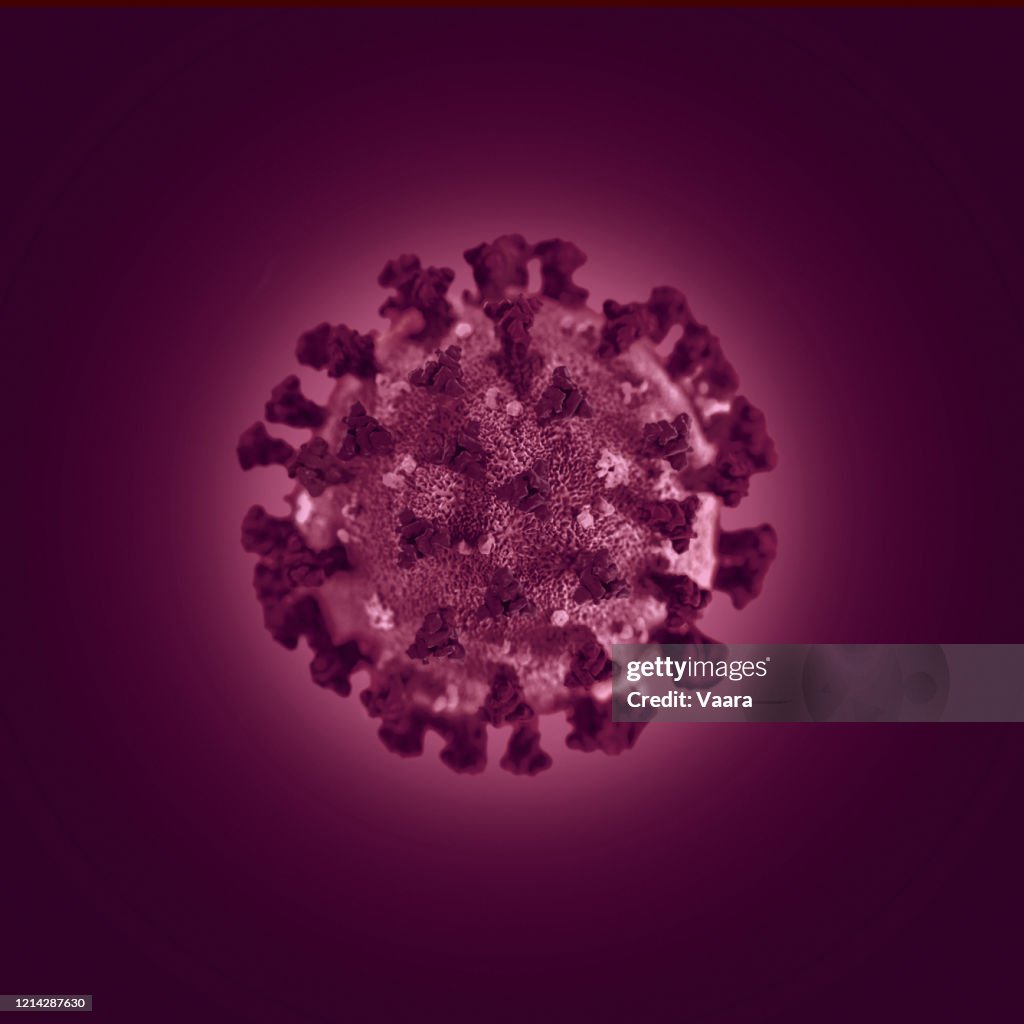 SARS-CoV-2 virus