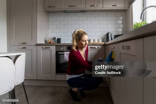 cleaning the kitchen - rubbing stock pictures, royalty-free photos & images