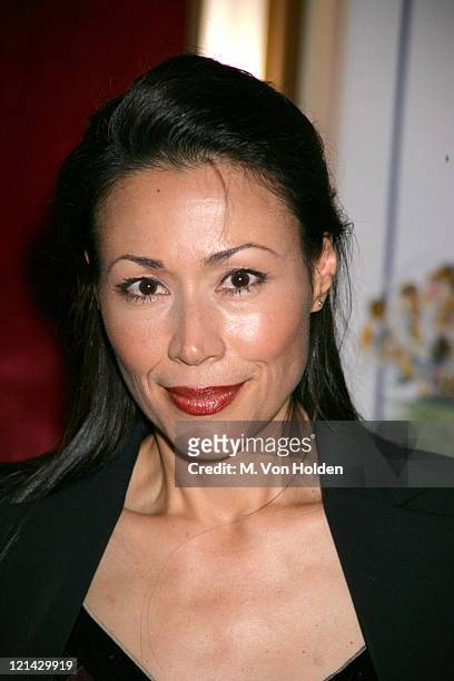 Ann Curry during Inside arrivals for the "Bad News Bears' premiere at The Ziegfeld Theater in New York, New York, United States.
