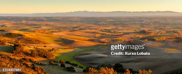 winter sunset landscape on the plain of the merindades region in burgos ,spain - castilla y león stock pictures, royalty-free photos & images