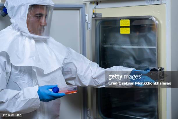 in origin - ebola imagens e fotografias de stock