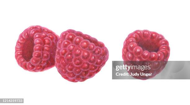 raspberries three - photo realism stock-grafiken, -clipart, -cartoons und -symbole