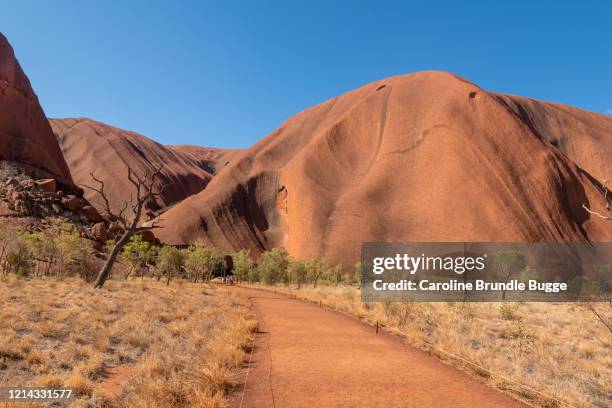 wandelen in de outback, noordelijk grondgebied, australië. - female bush photos stockfoto's en -beelden