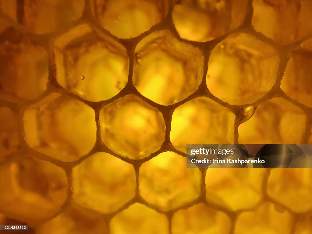 Macro honeycomb