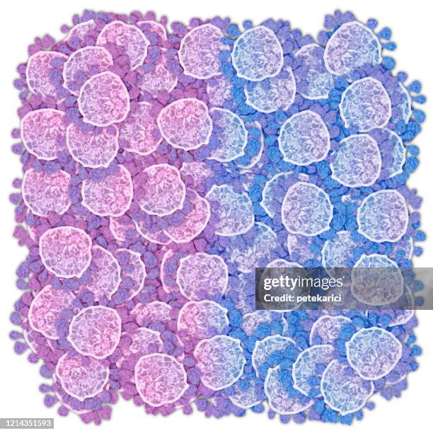coronavirus (covid-19) - old stop sign white background stock illustrations