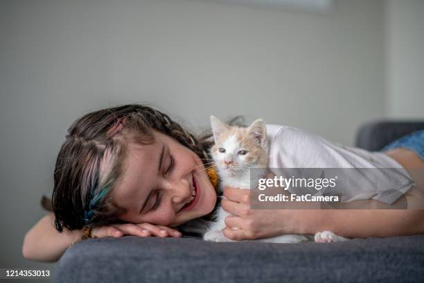 young girl with a kitten stock photo - cat human face stock pictures, royalty-free photos & images