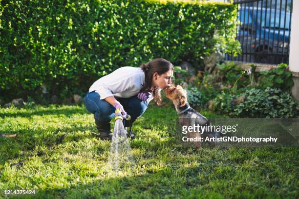 young woman watering her backyard and kissing her dog - dog springtime stock pictures, royalty-free photos & images