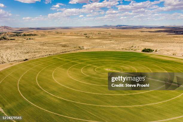 center-pivot irrigation circle irrigation california - center pivot irrigation stock pictures, royalty-free photos & images