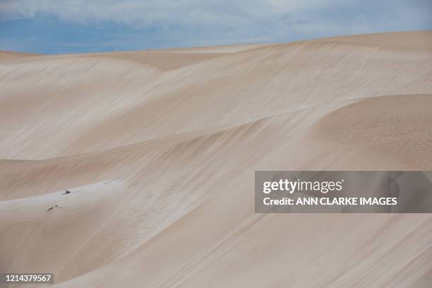 beautiful sand dunes - port lincoln stockfoto's en -beelden