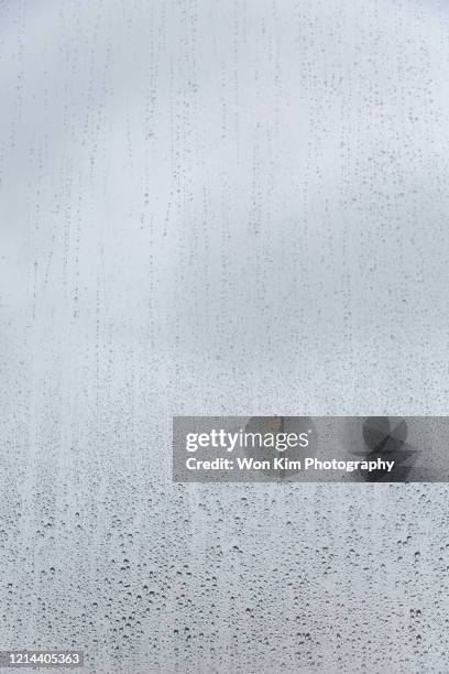 raindrops - humid stock pictures, royalty-free photos & images