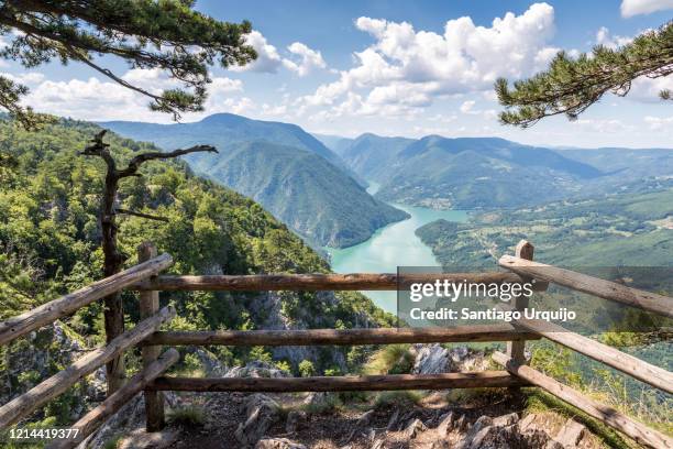 banjska stena panoramic viewpoint - servië stockfoto's en -beelden