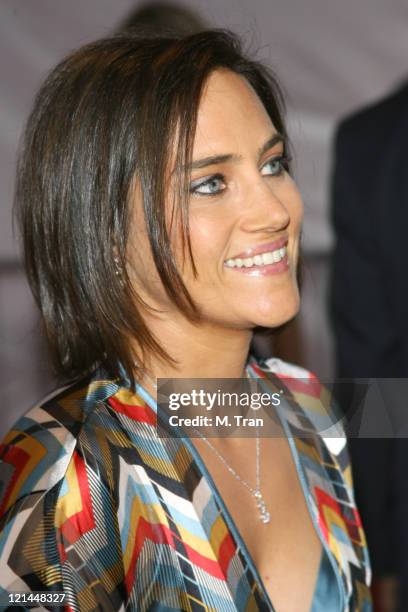 Amy Linker during 5th Annual TV Land Awards - Arrivals at Barker Hangar in Santa Monica, California, United States.