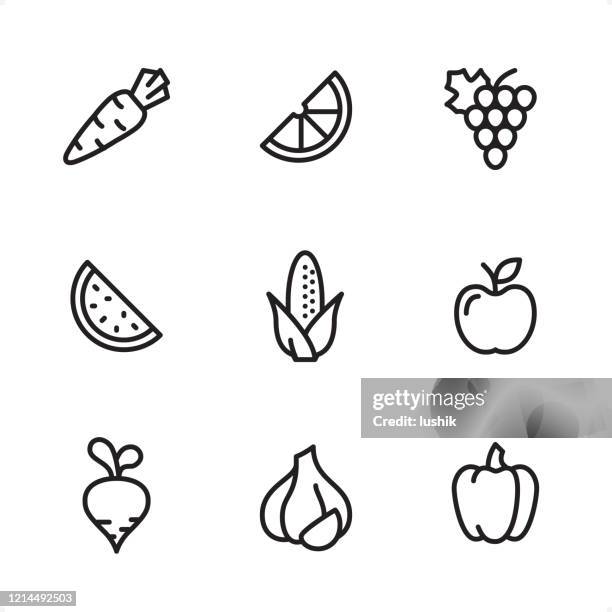 stockillustraties, clipart, cartoons en iconen met groenten & fruit - single line iconen - raapzaad