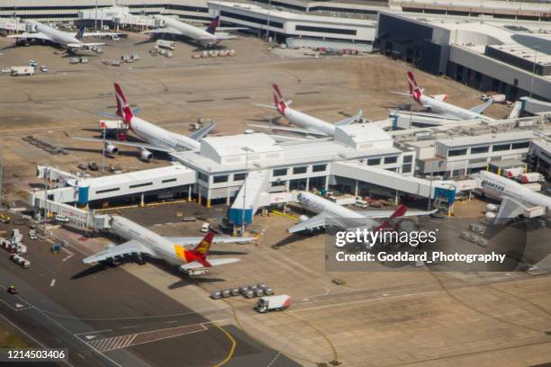 australia: kingsford smith airport in sydney - qantas stock pictures, royalty-free photos & images