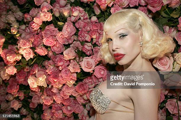 Amanda Lepore during H&M Live From Central Park - Arrivals and Cocktail Reception at Central Park in New York City, New York, United States.