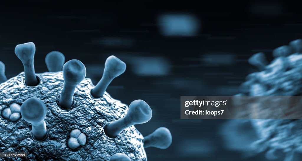 Macro View of a Virus