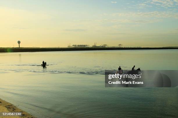 Racehorses from Matthew Smith's stables exercise during a recovery session at Botany Bay on March 25, 2020 in Sydney, Australia.