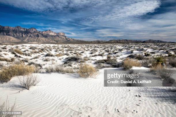 salt basin dunes at guadalupe mountains national park - parque nacional de las montañas de guadalupe fotografías e imágenes de stock