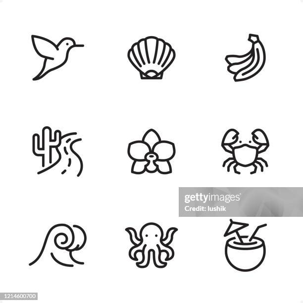 Tropical Summer Single Line Icons High-Res Vector Graphic