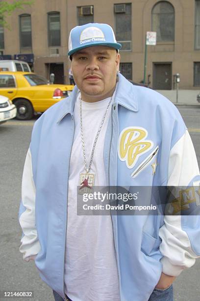 Fat Joe during "Remedy" New York Screening and After Party at Clearview Chelsea West Theatre and Avalon in New York City, New York, United States.